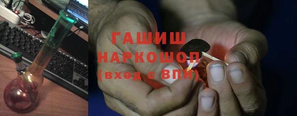 гашик Алексин