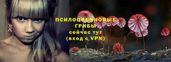 apvp Абаза