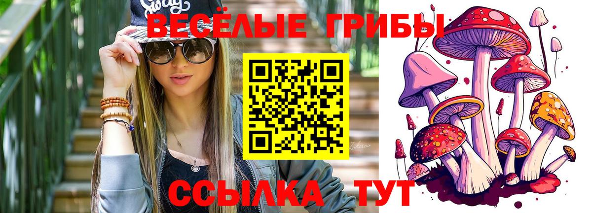 Галлюциногенные грибы прущие грибы  Вход с VPN  Псилоцибиновые грибы Psilocybe  Керчь 